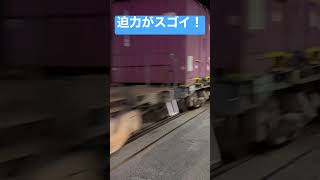 至近距離の貨物列車は迫力がスゴイ