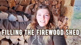 Prepping for Winter / Chopping Fire Wood / Filling the Wood Shed / Garlic Planting / Updates