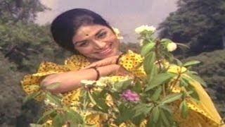 Bayalu Daari–Kannada Movie Song | Baanallu Neene Bhuviyallu Video Song | TVNXT