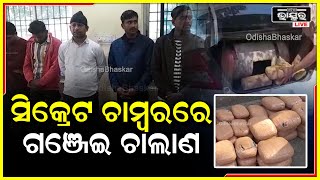 ସମ୍ବଲପୁର ଅବକାରୀ ବିଭାଗ ୩ ଟି ଗାଡିରୁ ୧ କୁଇଣ୍ଟାଲ ୩୦ କେଜି ଗଞ୍ଜେଇ ଜବତ ସହିତ ୬ ଗିରଫ