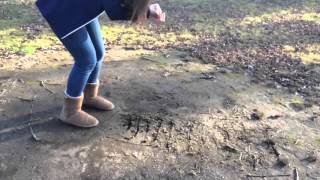 Seed Drill History Project
