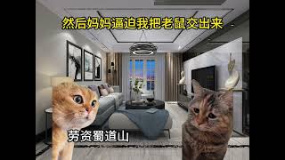 养了两只老鼠 #猫meme #高能 #仓鼠 #搞笑 #热点 #猫meme小剧场