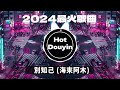 別知己 海來阿木 ✔2024最火歌曲dj remix 抖音版 🎶 chinese dj舞曲串烧 2024🎧最好的音樂chinese dj remix 👍douyin dj抖音版2024