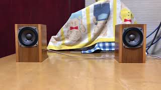 オーディオ視聴動画 東京コーンor Fostex P800K 8cmフルレンジ 無垢材小型箱 Luxman SQ-5B 真空管アンプ③