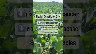 The Health Benefits of Soy: Is eating soy good for you? #soyfoods