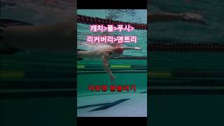 자유형 팔돌리기 물속 동작 캐치 풀 푸쉬 리커버리 엔트리 #수영 #swimming