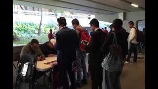 Abren casillas para votar por nuevo aeropuerto, en segundo día de la consulta