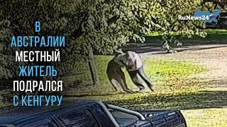 В Австралии местный житель подрался с кенгуру / RuNews24