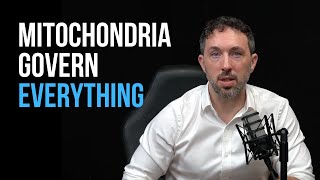 Mitochondria: Why They Control Everything in Human Health