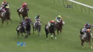 2012/06/10 東京5R　メイクデビュー東京　トーセンレディ　新馬戦