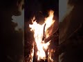 భోగి శుభాకాంక్షలు bhogi fire vedio short yt short