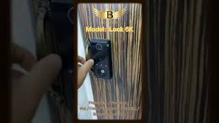 BIOSYSTEM DIGITAL DOOR LOCK - WOODEN DOOR USE iLock 6K