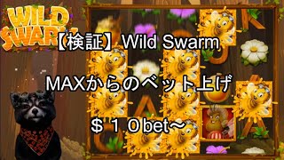 オンラインカジノ オンカジ 【カジ旅】検証！MAXからベットを上げた場合どうなるのか！＄10bet～ 実践WILD SWARM大群モード突入までノーカット！！