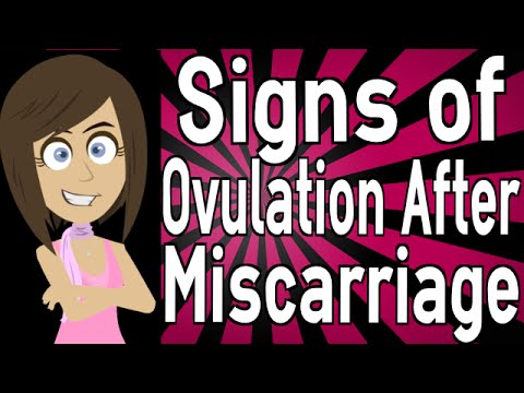 Signs of Ovulation After Miscarriage Signs of Ovulation After Miscarriage