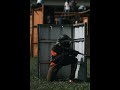 BLACKSHIRTS | FF7 Airsoft CinemaStrips