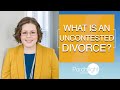 What is an Uncontested Divorce in Georgia | Porchlight Legal