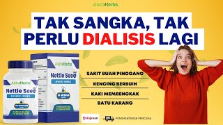 Katakan Selamat Tinggal Kepada Masalah Buah Pinggang