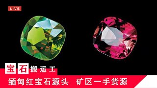 （宝石搬运工）缅甸🇲🇲Myanmar抹谷Mogok 红宝石Ruby 蓝宝石 Sapphire 宝石珠宝💎源头直播.Live27/4