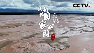 《青海·我们的国家公园》EP2 这里是一些人的家园 也是许多人向往的远方 【CCTV纪录】