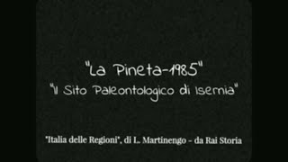 La Pineta - 1985 - Il Sito Paleontologico di Isernia