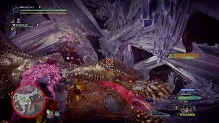 【MHW】イベントクエスト　歴戦イビルジョー5'40\