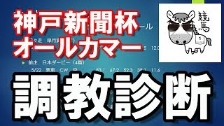 【調教診断】神戸新聞杯　オールカマー