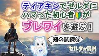 【DLC: 剣の試練⑥】ティアキンでゼルダにハマった初心者がブレワイやる【初見実況】#53