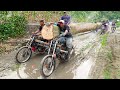 Risky But Genius Technique To Transport Gigantic Logs