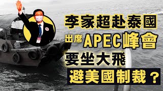 【香港冇格仔】 何柏良呼籲廢安心出行！李家超去泰國開APEC，避制裁要坐大飛？律政師唔服輸上訴禁英律師助黎智英（第一節D） 15/11/2022