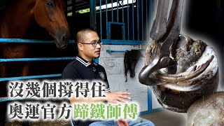 東京奧運官方釘蹄師！替馬修指甲看學長被踢飛：撐下來沒幾個｜Iron-Rose Equine Hoof Care 台灣蹄鐵匠｜酢漿草的超能力 EP49