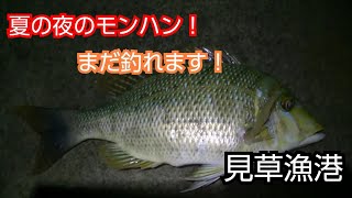 【見草漁港】夜釣り(20201114)