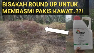 HASIL SEMPROT HERBISIDA ROUND UP UNTUK  RESAM/PAKIS KAWAT..??