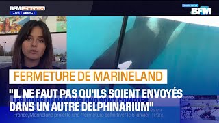 Fermeture de Marineland: l'avenir incertain des deux orques