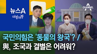 [여랑야랑]국정감사 나온 네이버·카카오 대표 / 국정감사장의 품격 | 뉴스A