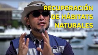 Recuperación de hábitats naturales | Entrevista a Mariano Marikawa