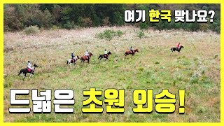 EN] 🐎 원없이 구보🐎  불 태웠다! l 제주도 초원외승