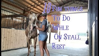 10 Fun Things to Do With Your Horse While On Stall Rest