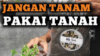 JANGAN TANAM BONSAI PAKAI TANAH