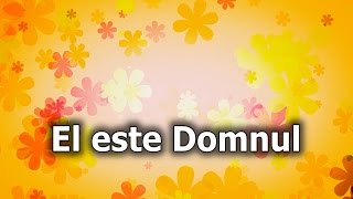 19. El este Domnul