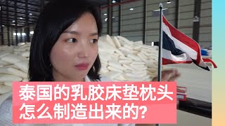 泰国用着特别舒服的乳胶床垫,乳胶枕头怎么制造出来的? 乳胶工厂流水线一般不允许拍摄,今天带大家参观一下