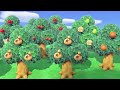 animal crossing new horizons switch 165