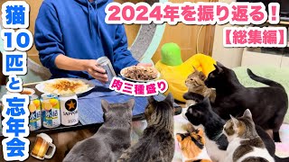 猫10匹と忘年会しながら今年一年を振り返りました！🍺✨【2024年総集編】