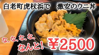 【北海道】『たらこ家虎杖浜』で数量限定うに丼ランチ🤤干物も絶品でリピート確定！