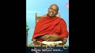 *නාභියෙන් සඳ රැස් විහිදෙන චන්ද්‍රභා කුමරුගේ කතාව...*🪷🪷🪷(නමෝ බුද්ධාය චැනලයෙන් උපුටා ගන්නා ලදි ..)