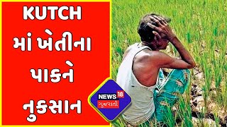 Kutch : વરસાદના કારણે ખેતીના પાકને નુકસાન | News18 Gujarati