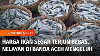 Harga Ikan Segar di Banda Aceh Anjlok Drastis, Nelayan Terus Merugi | Liputan 6