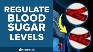 How Insulin and Glucagon Regulate Blood Sugar Levels