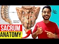 sacrum anatomy | anatomy of sacrum bone | sacrum features and attachments