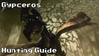 Hunting a Gypceros | Hunting Guide | Monster Hunter 4 Ultimate