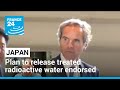 UN nuclear agency endorses Japan's plan to release treated radioactive water into the Pacific Ocean